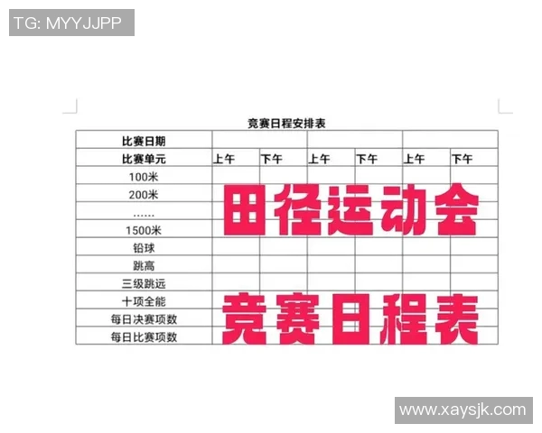 体育竞技比赛中参与者的角色与分工解析包括运动员教练裁判和观众